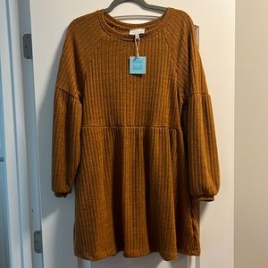 NWT Hayden sweater dress in rust